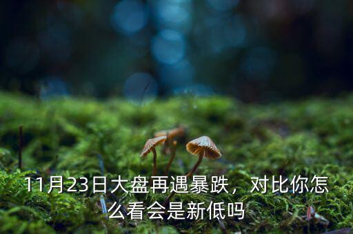 11月23日大盤再遇暴跌，對比你怎么看會是新低嗎