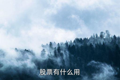 股票有什么用處,買(mǎi)了有什么用處