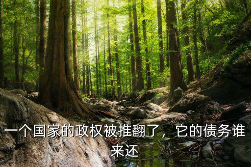 一個(gè)國家的政權(quán)被推翻了，它的債務(wù)誰來還