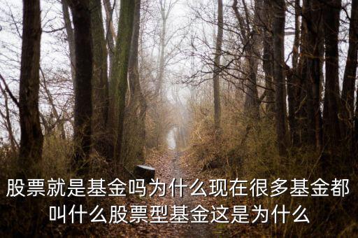 股票就是基金嗎為什么現在很多基金都叫什么股票型基金這是為什么
