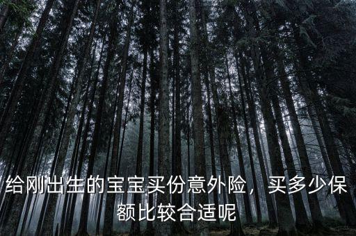 給剛出生的寶寶買份意外險，買多少保額比較合適呢