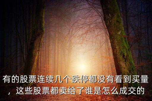 有的股票連續(xù)幾個(gè)跌停都沒(méi)有看到買(mǎi)量，這些股票都賣給了誰(shuí)是怎么成交的