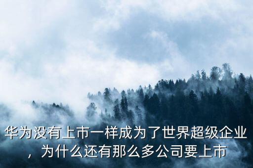 華為沒有上市一樣成為了世界超級(jí)企業(yè)，為什么還有那么多公司要上市