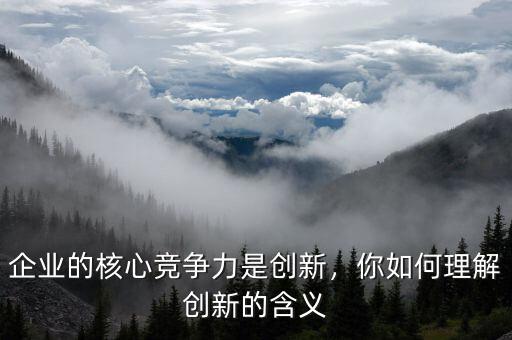 企業(yè)的核心競爭力是創(chuàng)新，你如何理解創(chuàng)新的含義