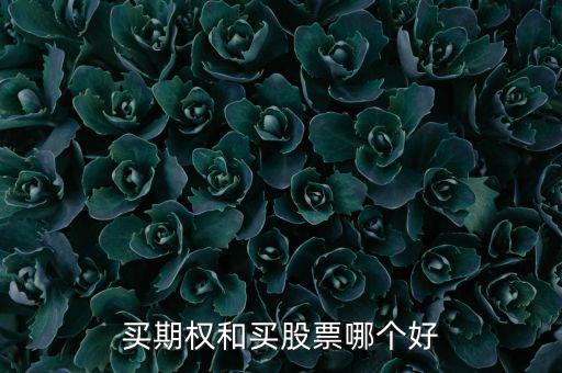 買(mǎi)期權(quán)和買(mǎi)股票哪個(gè)好