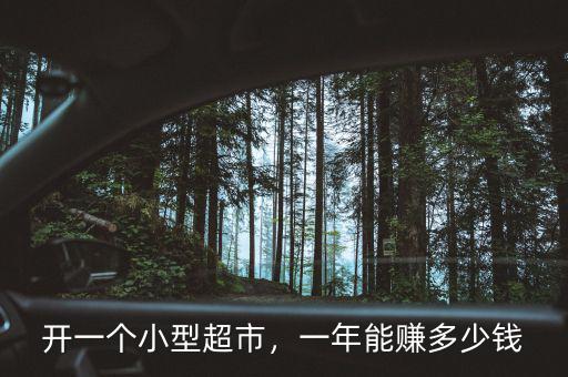開一個(gè)小型超市，一年能賺多少錢