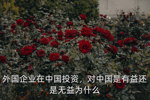外國(guó)企業(yè)在中國(guó)投資，對(duì)中國(guó)是有益還是無(wú)益為什么