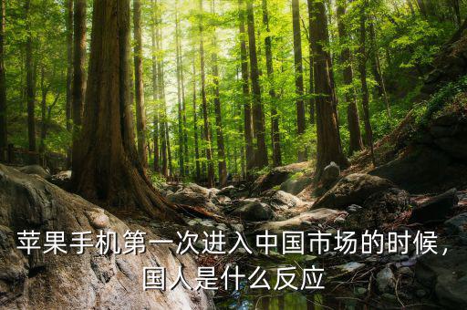 蘋果手機第一次進入中國市場的時候，國人是什么反應(yīng)
