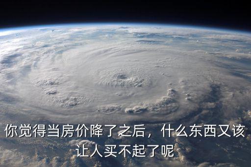 你覺得當(dāng)房價降了之后，什么東西又該讓人買不起了呢