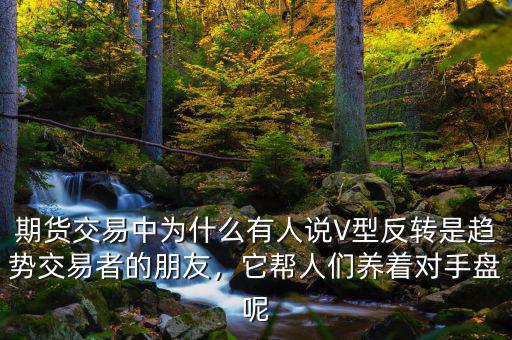 期貨交易中為什么有人說(shuō)V型反轉(zhuǎn)是趨勢(shì)交易者的朋友，它幫人們養(yǎng)著對(duì)手盤呢