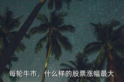 每輪牛市，什么樣的股票漲幅最大