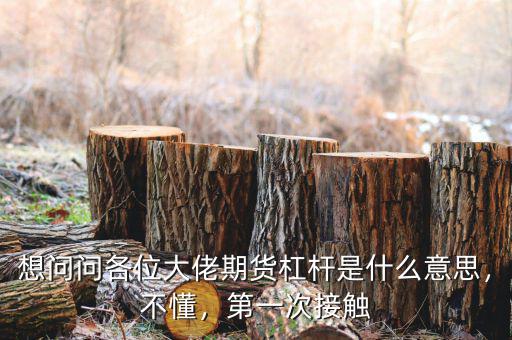 想問問各位大佬期貨杠桿是什么意思，不懂，第一次接觸