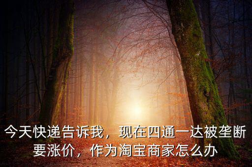 今天快遞告訴我，現(xiàn)在四通一達(dá)被壟斷要漲價(jià)，作為淘寶商家怎么辦