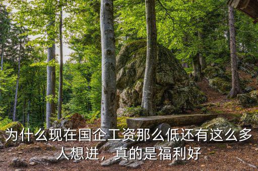 為什么現(xiàn)在國企工資那么低還有這么多人想進(jìn)，真的是福利好