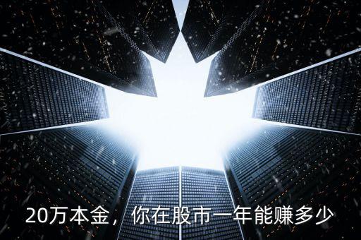 20萬本金，你在股市一年能賺多少
