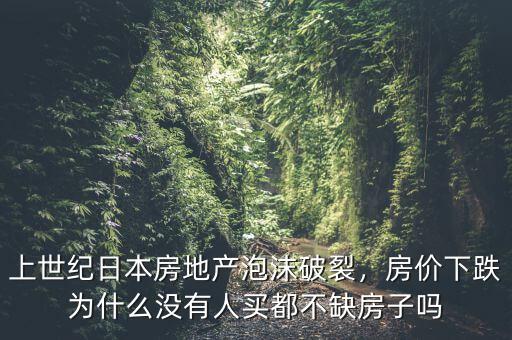 上世紀(jì)日本房地產(chǎn)泡沫破裂，房?jī)r(jià)下跌為什么沒(méi)有人買(mǎi)都不缺房子嗎