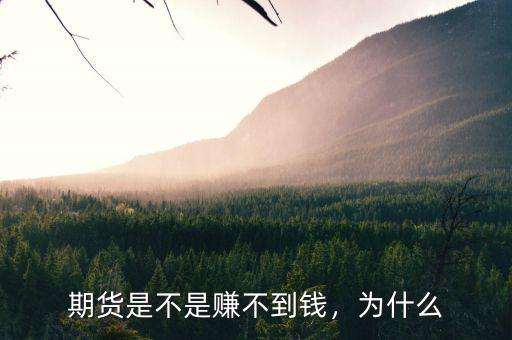 做期貨怎么樣才賺得到錢(qián),期貨是不是賺不到錢(qián)