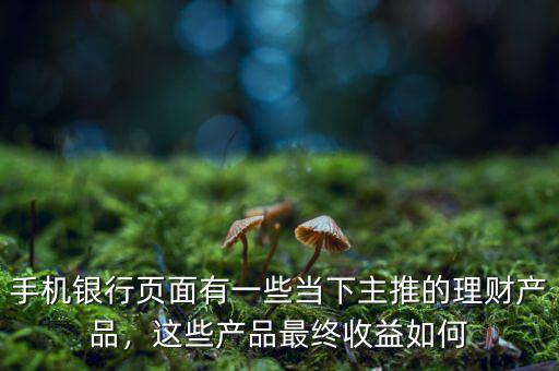 手機(jī)銀行頁(yè)面有一些當(dāng)下主推的理財(cái)產(chǎn)品，這些產(chǎn)品最終收益如何