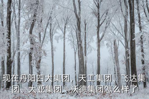 現(xiàn)在丹陽(yáng)四大集團(tuán)，天工集團(tuán)、飛達(dá)集團(tuán)、大亞集團(tuán)、沃德集團(tuán)怎么樣了