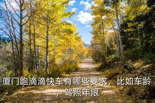 廈門跑滴滴快車有哪些要求，比如車齡，駕照年限