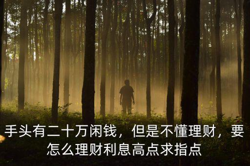 手頭有二十萬閑錢，但是不懂理財(cái)，要怎么理財(cái)利息高點(diǎn)求指點(diǎn)