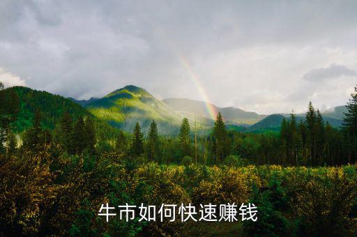 牛市如何快速賺錢(qián)