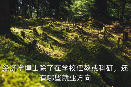 經(jīng)濟學博士除了在學校任教或科研，還有哪些就業(yè)方向