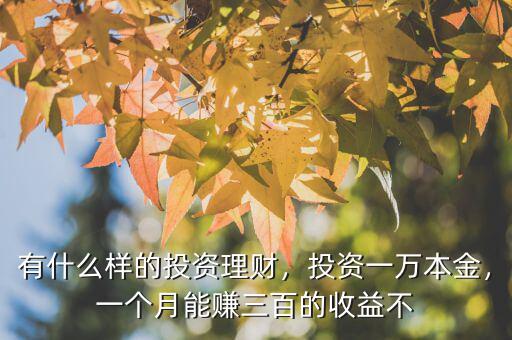 有什么樣的投資理財，投資一萬本金，一個月能賺三百的收益不