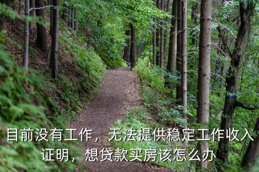 目前沒有工作，無法提供穩(wěn)定工作收入證明，想貸款買房該怎么辦