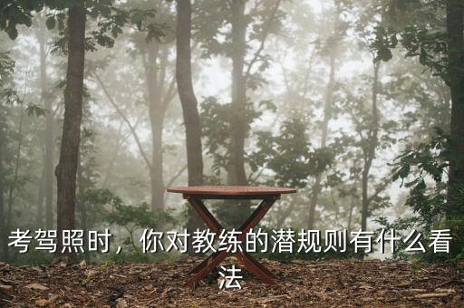 考駕照時(shí)，你對(duì)教練的潛規(guī)則有什么看法
