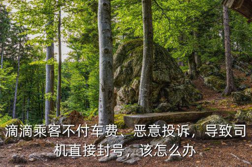 滴滴乘客不付車費(fèi)、惡意投訴，導(dǎo)致司機(jī)直接封號(hào)，該怎么辦