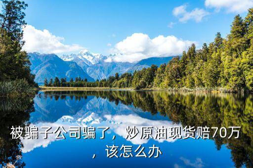 被騙子公司騙了，炒原油現(xiàn)貨賠70萬，該怎么辦