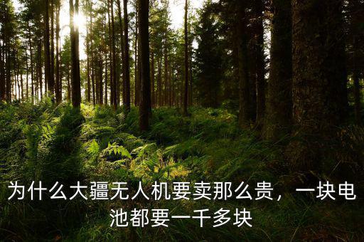 為什么大疆無人機要賣那么貴，一塊電池都要一千多塊