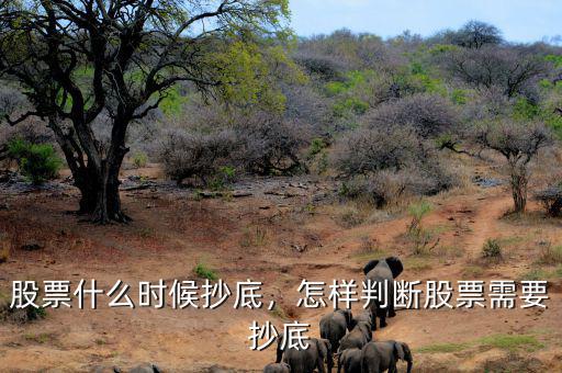 股票什么時(shí)候抄底，怎樣判斷股票需要抄底