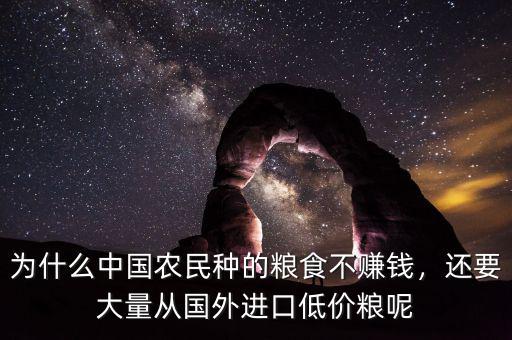 為什么中國農(nóng)民種的糧食不賺錢，還要大量從國外進口低價糧呢