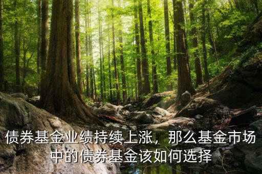 債券基金業(yè)績持續(xù)上漲，那么基金市場中的債券基金該如何選擇