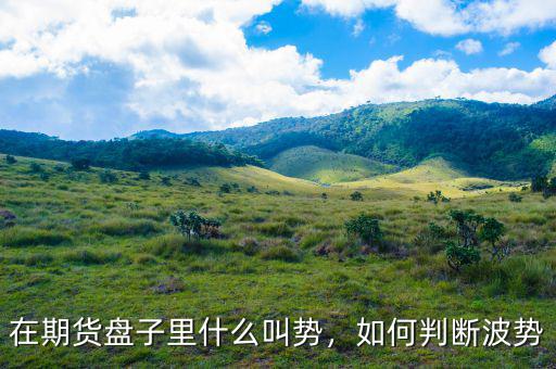 什么是期貨沽空,期貨平倉(cāng)期貨是誰(shuí)的
