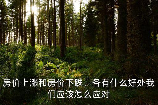 房價上漲和房價下跌，各有什么好處我們應(yīng)該怎么應(yīng)對