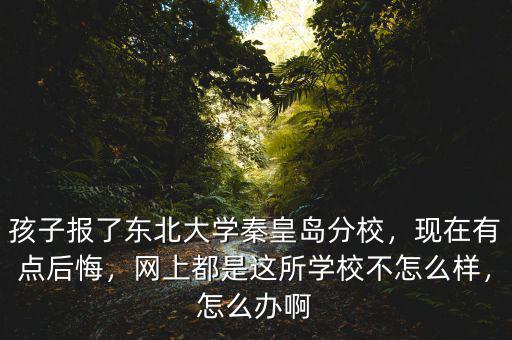 孩子報了東北大學秦皇島分校，現(xiàn)在有點后悔，網(wǎng)上都是這所學校不怎么樣，怎么辦啊