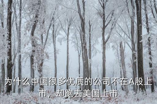 不盈利為什么能在美國上市,卻在美國上市。為什么