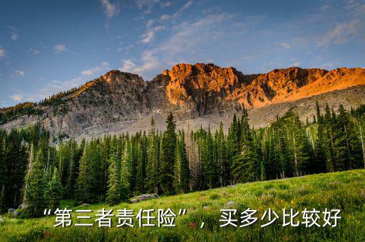 “第三者責(zé)任險(xiǎn)”，買多少比較好