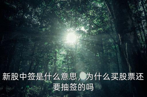 新股中簽是什么意思，為什么買(mǎi)股票還要抽簽的嗎