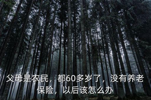 父母是農(nóng)民，都60多歲了，沒(méi)有養(yǎng)老保險(xiǎn)，以后該怎么辦