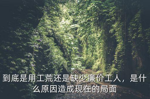到底是用工荒還是缺少廉價(jià)工人，是什么原因造成現(xiàn)在的局面