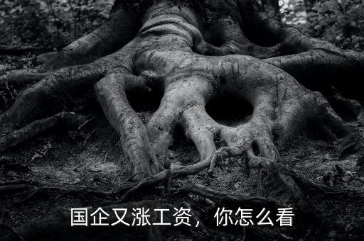 國企又漲工資，你怎么看