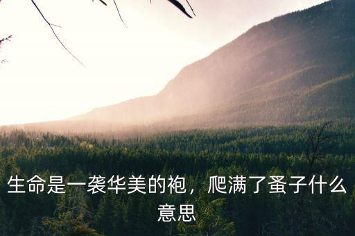 生命是一襲華美的袍，爬滿了蚤子什么意思