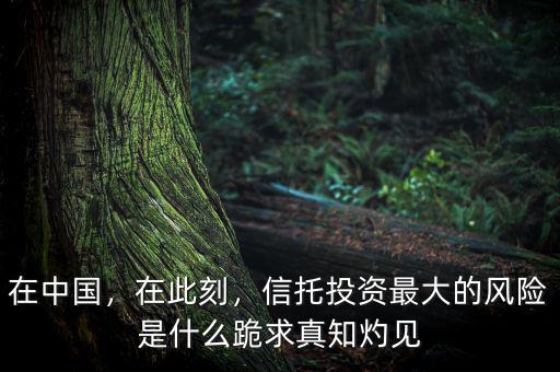 在中國，在此刻，信托投資最大的風(fēng)險是什么跪求真知灼見