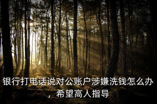 銀行打電話說(shuō)對(duì)公賬戶涉嫌洗錢(qián)怎么辦，希望高人指導(dǎo)