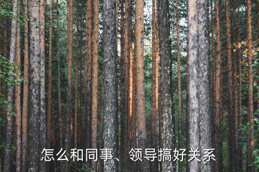 怎么和同事、領(lǐng)導(dǎo)搞好關(guān)系