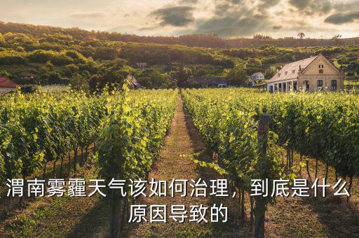 渭南霧霾天氣該如何治理，到底是什么原因導致的